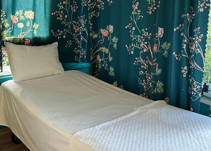 Ortakoey House דירה *