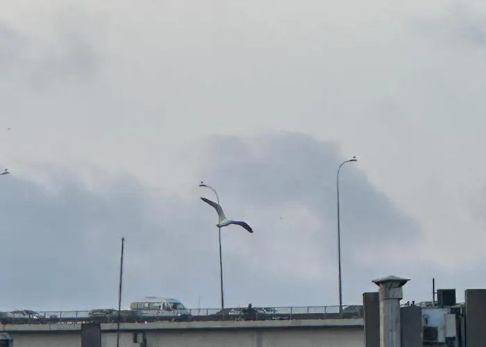 Ortakoey House Διαμέρισμα Κωνσταντινούπολη