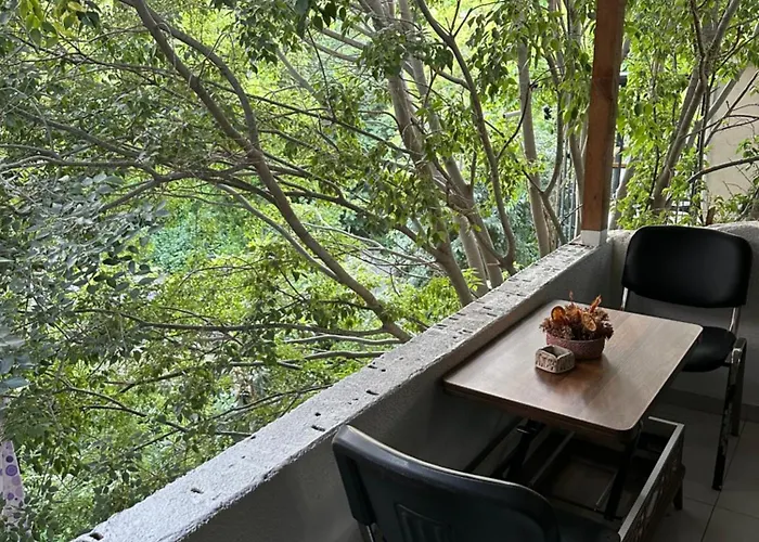 Διαμέρισμα Ortakoey House